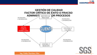 GESTIÓN DE CALIDAD
FACTOR CRÍTICO DE ÉXITO O FRACSO
ADMINISTRACION POR PROCESOSIDENTIFICAR
PROCESOS
GENTE,
TAREAS,
ESTRUCTURA
CULTURA Y
VALORES
CONTROL Y
MEDICION
TECNOLOGIA
E INFORMACION
TECNOLOGIA
E INFORMACION
TECNOLOGIA
E INFORMACION
TECNOLOGIA
E INFORMACION
Ing. Pablo Martínez Msc.
 