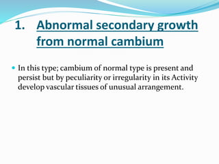 1. Abnormal secondary growth
from normal cambium
 In this type; cambium of normal type is present and
persist but by peculiarity or irregularity in its Activity
develop vascular tissues of unusual arrangement.
 