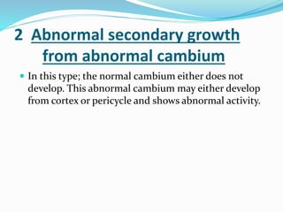2 Abnormal secondary growth
from abnormal cambium
 In this type; the normal cambium either does not
develop. This abnormal cambium may either develop
from cortex or pericycle and shows abnormal activity.
 