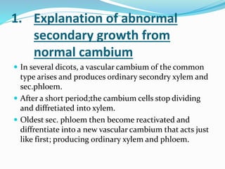 1. Explanation of abnormal
secondary growth from
normal cambium
 In several dicots, a vascular cambium of the common
type arises and produces ordinary secondry xylem and
sec.phloem.
 After a short period;the cambium cells stop dividing
and diffretiated into xylem.
 Oldest sec. phloem then become reactivated and
diffrentiate into a new vascular cambium that acts just
like first; producing ordinary xylem and phloem.
 