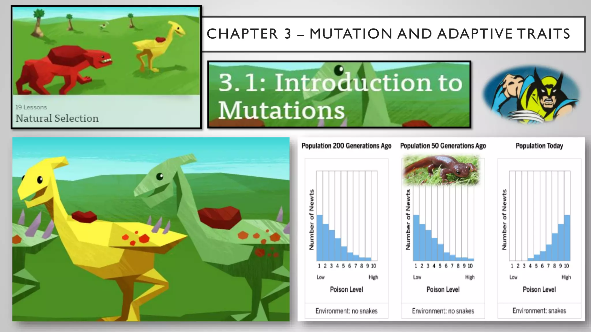 Introduction to Mutations | PDF