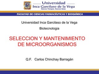 Universidad Inca Garcilaso de la Vega
Biotecnologia
Q.F. Carlos Chinchay Barragán
SELECCION Y MANTENIMIENTO
DE MICROORGANISMOS
 