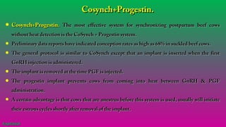 • Cosynch+Progestin.Cosynch+Progestin. The most effective system for synchronizing postpartum beef cowsThe most effective system for synchronizing postpartum beef cows
without heat detection is the CoSynch + Progestin system.without heat detection is the CoSynch + Progestin system.
• Preliminary data reports have indicated conception rates as high as 68% in suckled beef cows.Preliminary data reports have indicated conception rates as high as 68% in suckled beef cows.
• The general protocol is similar to CoSynch except that an implant is inserted when the firstThe general protocol is similar to CoSynch except that an implant is inserted when the first
GnRH injection is administered.GnRH injection is administered.
• The implant is removed at the time PGF is injected.The implant is removed at the time PGF is injected.
• The progestin implant prevents cows from coming into heat between GnRH & PGFThe progestin implant prevents cows from coming into heat between GnRH & PGF
administration.administration.
• A certain advantage is that cows that are anestrus before this system is used, usually will initiateA certain advantage is that cows that are anestrus before this system is used, usually will initiate
their estrous cycles shortly after removal of the implant.their estrous cycles shortly after removal of the implant.
Cosynch+Progestin.Cosynch+Progestin.
#agrfaisal#agrfaisal
 