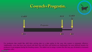 -7-7 dayday 00dayday 22dayday
GnRHGnRH PGFPGF GnRHGnRH
++
AIAI
ProgestinProgestin
Cosynch+Progestin.Cosynch+Progestin.
For producers that would like shift their calving date to a date earlier in the year, this system is extremely effective.
Additionally, cows that have just calved with their first calf (first calf heifers) are traditionally the most difficult females for
producers to get pregnant during the breeding season. The added cost in using a system like this may pay dividends in increased
pregnancy rates.
#agrfaisal#agrfaisal
 