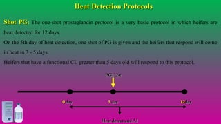 Shot PGShot PG: The one-shot prostaglandin protocol is a very basic protocol in which heifers are
heat detected for 12 days.
On the 5th day of heat detection, one shot of PG is given and the heifers that respond will come
in heat in 3 - 5 days.
Heifers that have a functional CL greater than 5 days old will respond to this protocol.
00 dayday 1212dayday
PGF 2PGF 2αα
55 dayday
Heat detect and AIHeat detect and AI
Heat Detection ProtocolsHeat Detection Protocols
#agrfaisal#agrfaisal
 