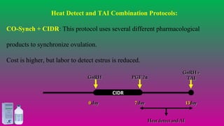 Heat Detect and TAI Combination Protocols:
CO-Synch + CIDR: This protocol uses several different pharmacological
products to synchronize ovulation.
Cost is higher, but labor to detect estrus is reduced.
00 dayday 1313dayday
PGF 2PGF 2αα
77 dayday
Heat detect and AIHeat detect and AI
GnRHGnRH
GnRH +GnRH +
TAITAI
CIDR
#agrfaisal#agrfaisal
 