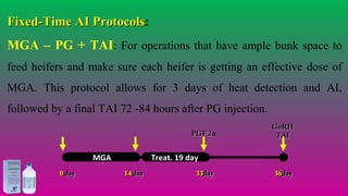 1414 dayday 3636dayday
PGF 2PGF 2αα
3333dayday
GnRHGnRH
TAITAI
00 dayday
Treat. 19 dayMGA
Fixed-Time AI ProtocolsFixed-Time AI Protocols:
MGA – PG + TAI: For operations that have ample bunk space to
feed heifers and make sure each heifer is getting an effective dose of
MGA. This protocol allows for 3 days of heat detection and AI,
followed by a final TAI 72 -84 hours after PG injection.
#agrfaisal#agrfaisal
 