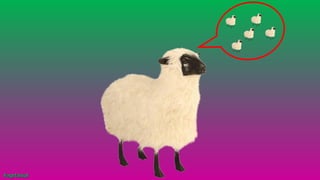 #agrfaisal#agrfaisal
 