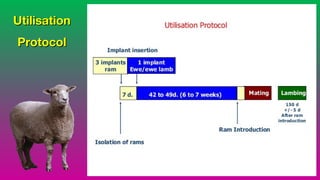 UtilisationUtilisation
ProtocolProtocol
 