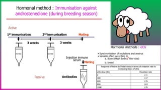 Presentation: Protocols for Synchronization of Estrus