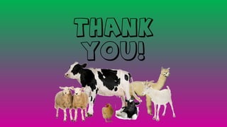 Presentation: Protocols for Synchronization of Estrus