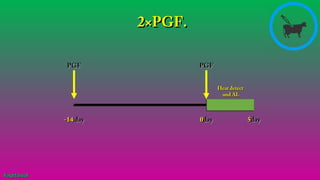 -14-14 dayday 00dayday
Heat detectHeat detect
and ALand AL
55dayday
PGFPGF PGFPGF
2×PGF.2×PGF.
#agrfaisal#agrfaisal
 