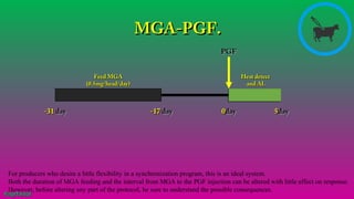 -17-17 dayday 00dayday
Heat detectHeat detect
and ALand AL
55dayday
PGFPGF
#agrfaisal
Feed MGAFeed MGA
(0.5mg/head/day)(0.5mg/head/day)
-31-31 dayday
MGA-PGF.MGA-PGF.
For producers who desire a little flexibility in a synchronization program, this is an ideal system.
Both the duration of MGA feeding and the interval from MGA to the PGF injection can be altered with little effect on response.
However, before altering any part of the protocol, be sure to understand the possible consequences.
#agrfaisal#agrfaisal
 