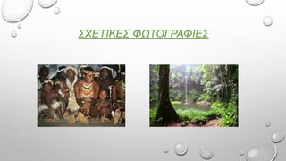 ΣΧΕΤΙΚΕΣ ΦΩΤΟΓΡΑΦΙΕΣ
 