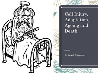 Cell Injury,
Adaptation,
Ageing and
Death
Dr. Saugat Chapagain
 