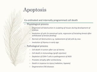 3. cell injury, adaptation, ageing and death