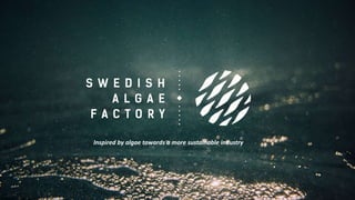 Inspired by algae towards a more sustainable industry
 