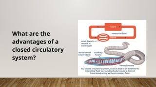 What are the
advantages of a
closed circulatory
system?
 