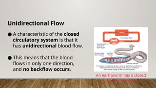Unidirectional Flow
● A characteristic of the closed
circulatory system is that it
has unidirectional blood flow.
● This means that the blood
flows in only one direction,
and no backflow occurs.
An earthworm has a closed
circulatory system.
 