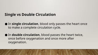 Single vs Double Circulation
● In single circulation, blood only passes the heart once
to make a complete circulation cycle.
● In double circulation, blood passes the heart twice,
once before oxygenation and once more after
oxygenation.
 
