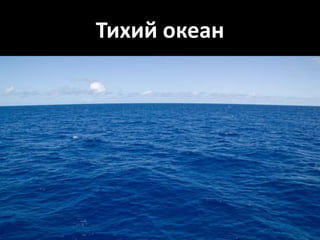 Тихий океан
 