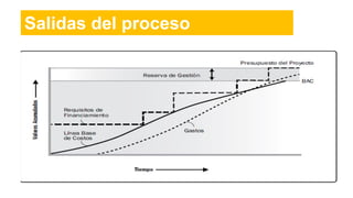 Salidas del proceso
 