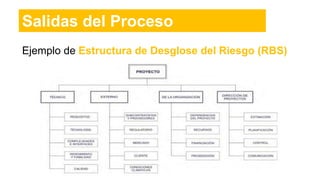Salidas del Proceso
Ejemplo de Estructura de Desglose del Riesgo (RBS)
 