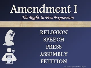 Principles of the Constitution | PPTX
