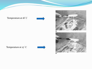 Temperature at 18 ֯ C
Temperature at 27 ֯ C
 