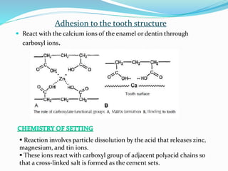 Adhesion to the tooth structure
 React with the calcium ions of the enamel or dentin thrrough
carboxyl ions.
 Reaction involves particle dissolution by the acid that releases zinc,
magnesium, and tin ions.
 These ions react with carboxyl group of adjacent polyacid chains so
that a cross-linked salt is formed as the cement sets.
 