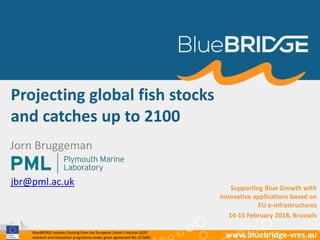 BlueBRIDGE receives funding from the European Union’s Horizon 2020
research and innovation programme under grant agreement No. 675680 www.bluebridge-vres.eu
Projecting global fish stocks
and catches up to 2100
Jorn Bruggeman
jbr@pml.ac.uk Supporting Blue Growth with
innovative applications based on
EU e-infrastructures
14-15 February 2018, Brussels
 