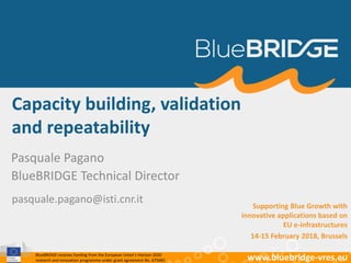 BlueBRIDGE receives funding from the European Union’s Horizon 2020
research and innovation programme under grant agreement No. 675680 www.bluebridge-vres.eu
Capacity building, validation
and repeatability
Pasquale Pagano
BlueBRIDGE Technical Director
pasquale.pagano@isti.cnr.it Supporting Blue Growth with
innovative applications based on
EU e-infrastructures
14-15 February 2018, Brussels
 