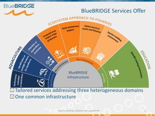 BlueBRIDGE Services Offer
Tailored services addressing three heterogeneous domains
One common infrastructure
BlueBRIDGE
In...