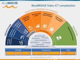 BlueBRIDGE hides ICT complexities
Capacity building, validation and repeatability
Storage
Database GIS NoSQL
Computing
D4S...