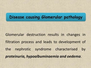 Glomerular destruction results in changes in
filtration process and leads to development of
the nephrotic syndrome characterised by
proteinuria, hypoalbuminaemia and oedema.
Disease causing Glomerular pathology
 