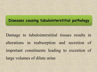 Damage to tubulointerstitial tissues results in
alterations in reabsorption and secretion of
important constituents leading to excretion of
large volumes of dilute urine
Diseases causing tubulointerstitial pathology
 