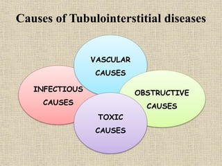 Causes of Tubulointerstitial diseases
INFECTIOUS
CAUSES
VASCULAR
CAUSES
OBSTRUCTIVE
CAUSES
TOXIC
CAUSES
 