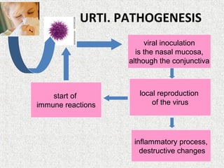 URTI. PATHOGENESIS
viral inoculation
is the nasal mucosa,
although the conjunctiva
local reproduction
of the virus
start of
immune reactions
inflammatory process,
destructive changes
 