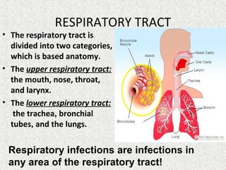 RESPIRATORY TRACT
• The respiratory tract is
divided into two categories,
which is based anatomy.
• The upper respiratory tract:
the mouth, nose, throat,
and larynx.
• The lower respiratory tract:
the trachea, bronchial
tubes, and the lungs.
Respiratory infections are infections in
any area of the respiratory tract!
 