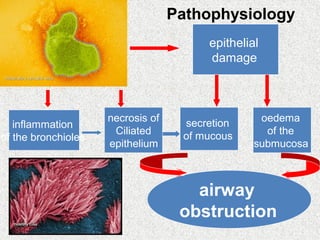 epithelial
damage
inflammation
of the bronchioles
secretion
of mucous
necrosis of
Сiliated
epithelium
oedema
of the
submucosa
airway
obstruction
Pathophysiology
 