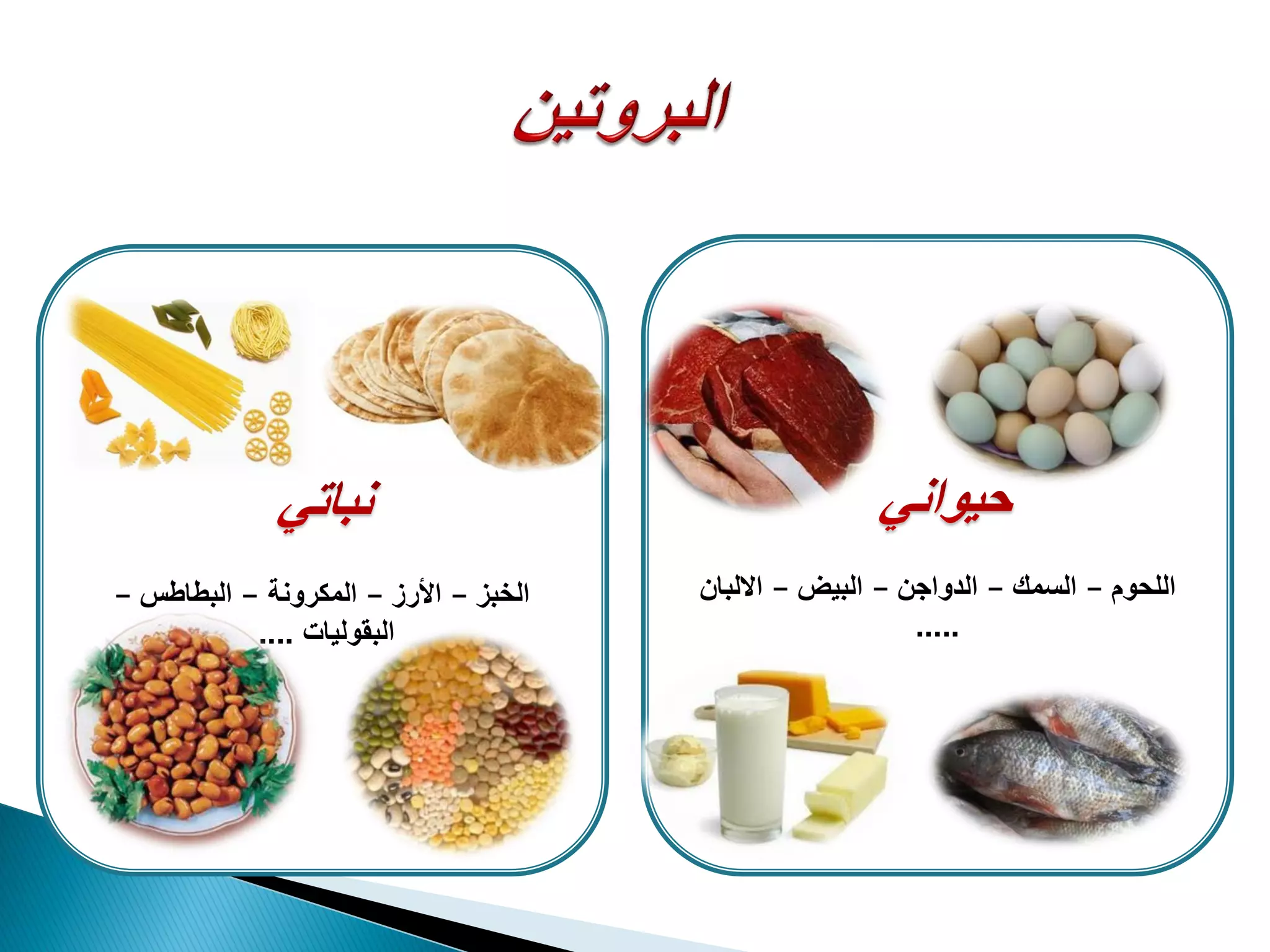 ‫اللحوم‬–‫السمك‬–‫الدواجن‬–‫البٌض‬–‫االلبان‬
.....
‫الخبز‬–‫األرز‬–‫المكرونة‬–‫البطاطس‬–
‫البقولٌات‬....
 