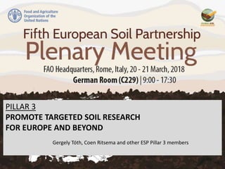 PILLAR 3
PROMOTE TARGETED SOIL RESEARCH
FOR EUROPE AND BEYOND
Gergely Tóth, Coen Ritsema and other ESP Pillar 3 members
 