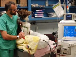 Hemodialysis complications 