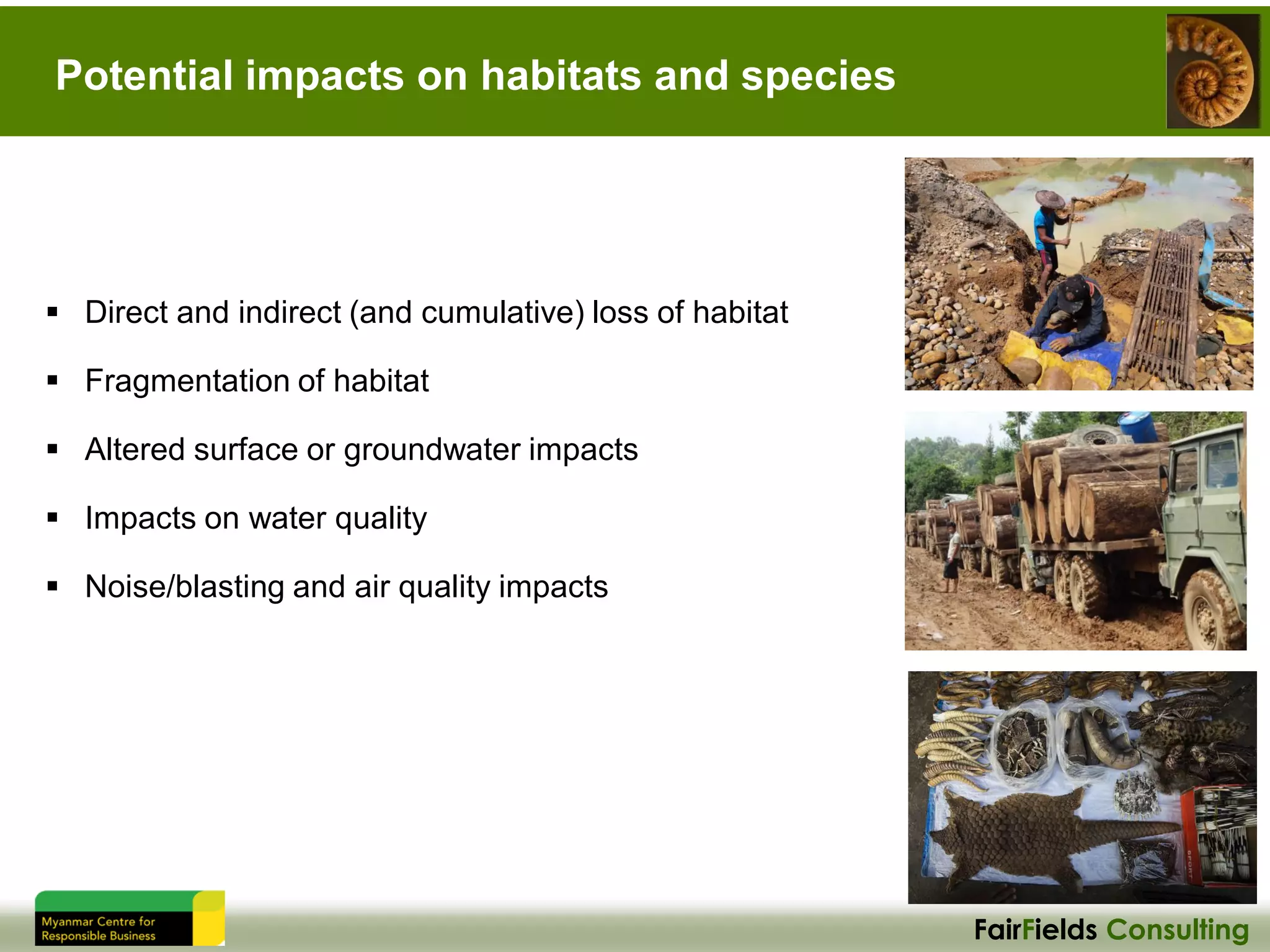 FairFields Consulting
Potential impacts on habitats and species
▪ Direct and indirect (and cumulative) loss of habitat
▪ Fragmentation of habitat
▪ Altered surface or groundwater impacts
▪ Impacts on water quality
▪ Noise/blasting and air quality impacts
 