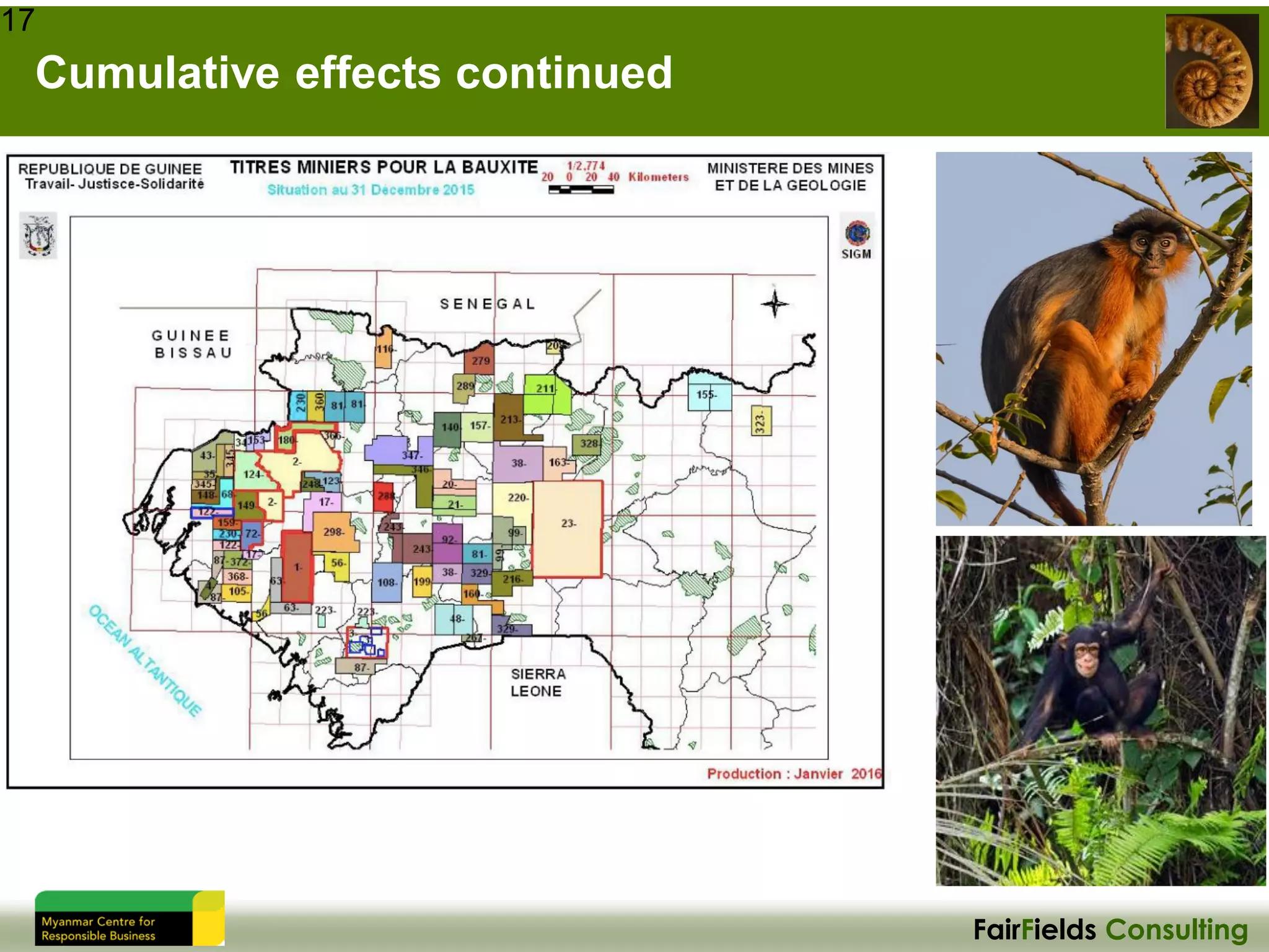 FairFields Consulting
Cumulative effects continued
17
 