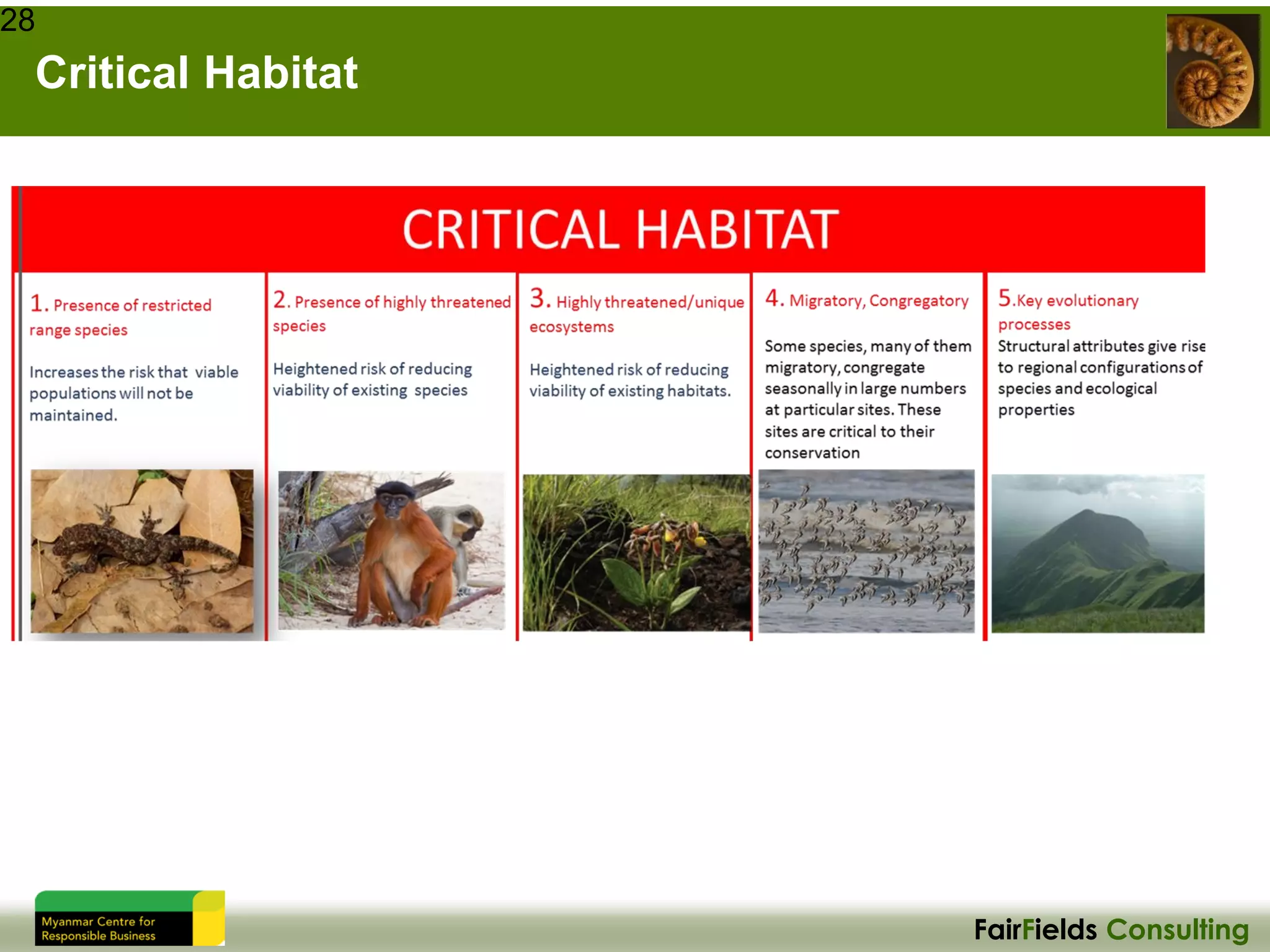 FairFields Consulting
Critical Habitat
28
 