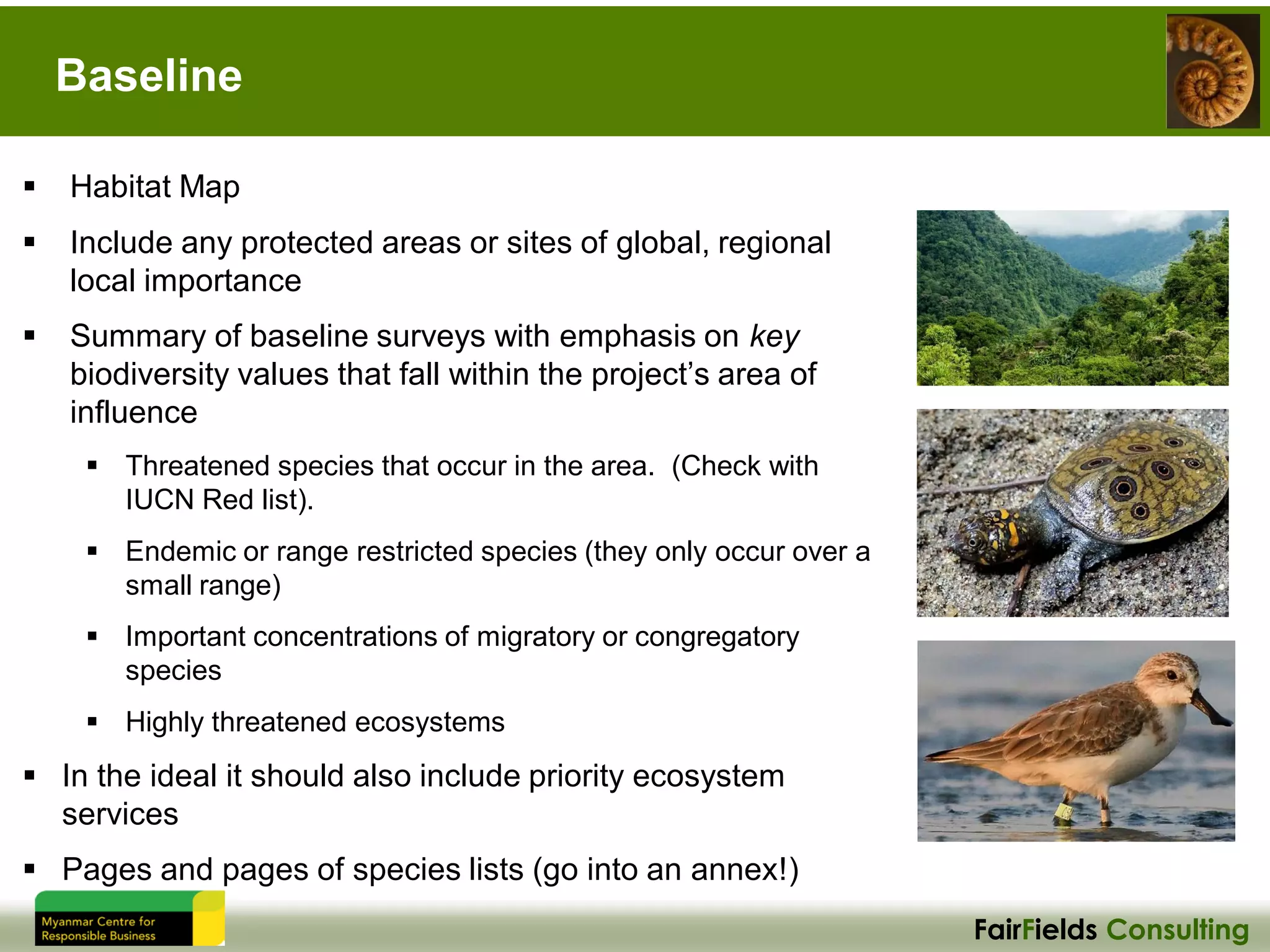 FairFields Consulting
Baseline
▪ Habitat Map
▪ Include any protected areas or sites of global, regional
local importance
▪ Summary of baseline surveys with emphasis on key
biodiversity values that fall within the project’s area of
influence
▪ Threatened species that occur in the area. (Check with
IUCN Red list).
▪ Endemic or range restricted species (they only occur over a
small range)
▪ Important concentrations of migratory or congregatory
species
▪ Highly threatened ecosystems
▪ In the ideal it should also include priority ecosystem
services
▪ Pages and pages of species lists (go into an annex!)
 