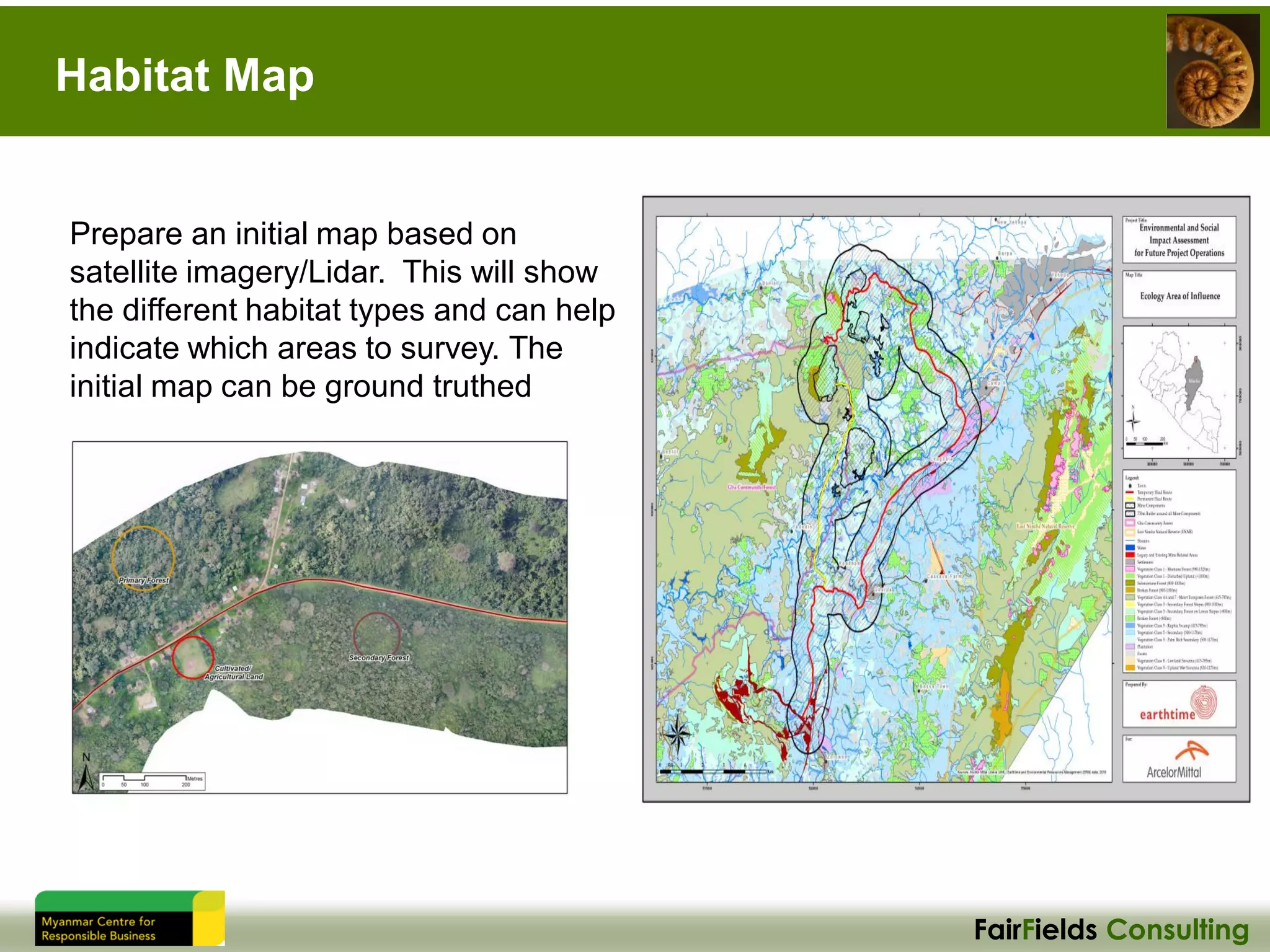 FairFields Consulting
Habitat Map
Prepare an initial map based on
satellite imagery/Lidar. This will show
the different habitat types and can help
indicate which areas to survey. The
initial map can be ground truthed
 