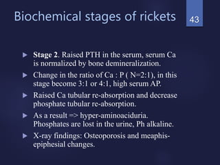 Biochemical stages of rickets
 Stage 2. Raised PTH in the serum, serum Ca
is normalized by bone demineralization.
 Change in the ratio of Ca : P ( N=2:1), in this
stage become 3:1 or 4:1, high serum AP.
 Raised Ca tubular re-absorption and decrease
phosphate tubular re-absorption.
 As a result => hyper-aminoaciduria.
Phosphates are lost in the urine, Ph alkaline.
 X-ray findings: Osteoporosis and meaphis-
epiphesial changes.
43
 