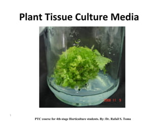Plant Tissue Culture Media
1
PTC course for 4th stage Horticulture students. By: Dr. Rafail S. Toma
 
